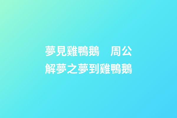 夢見雞鴨鵝　周公解夢之夢到雞鴨鵝